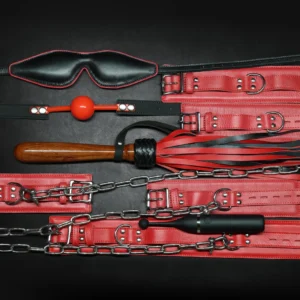 Whips & Chains Master Kit by Kink