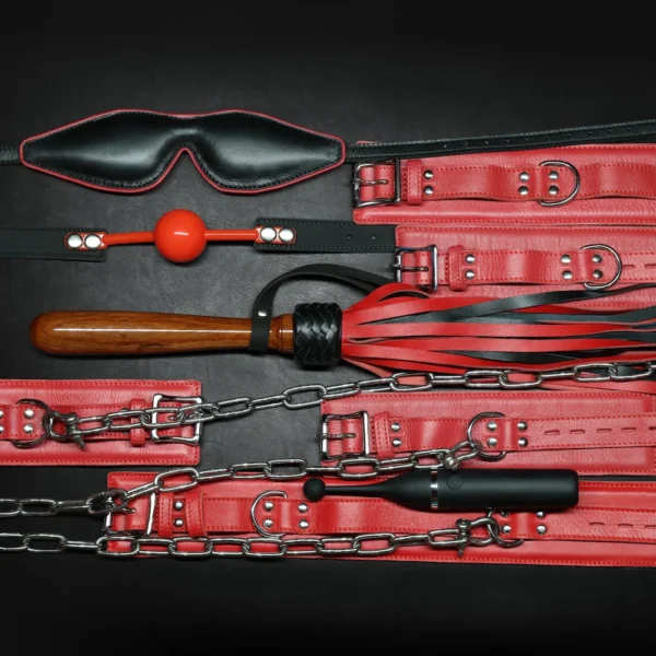 Whips & Chains Master Kit by Kink
