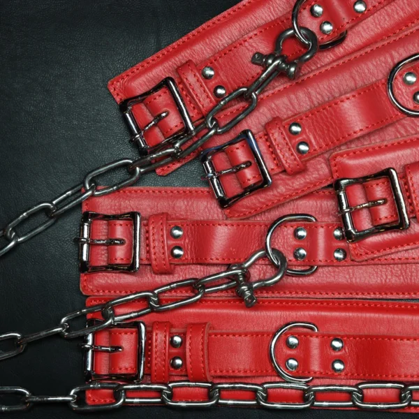 Whips & Chains Master Kit by Kink