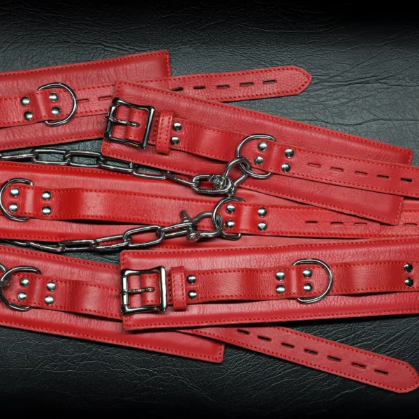 Whips & Chains Master Kit by Kink