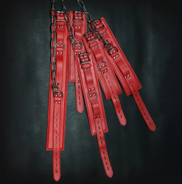 Whips & Chains Master Kit by Kink